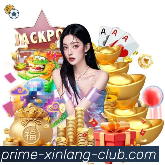 未来规划